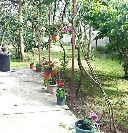Apartment Beleca